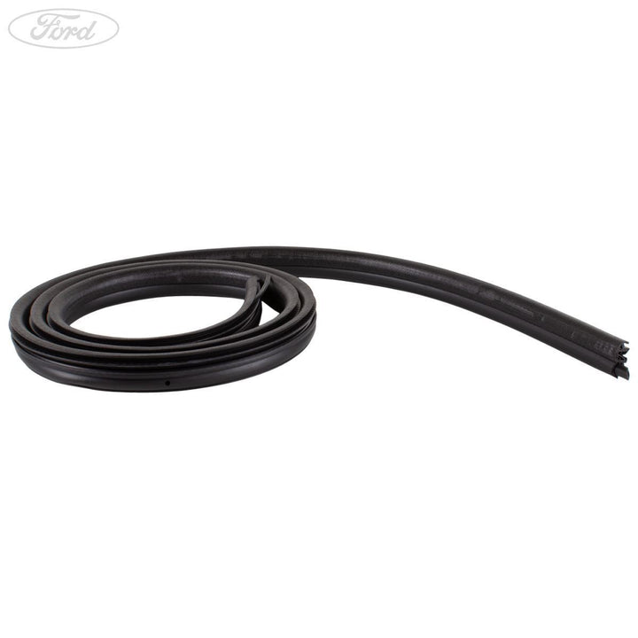 KUGA REAR TAILGATE OPENING WINDOW WEATHERSTRIP SEAL