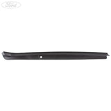 REAR DOOR MOULDING