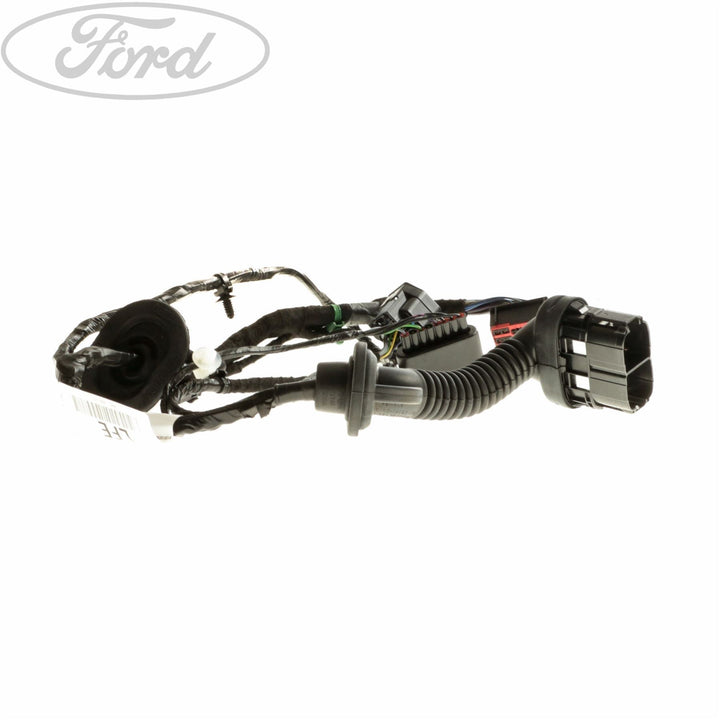FOCUS REAR DOOR BODY CLOSURE WIRING