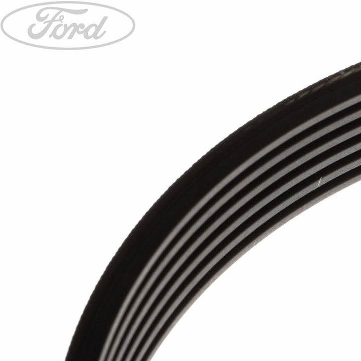 FOCUS DRIVE V BELT