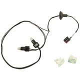 LAMP SOCKET AND WIRE