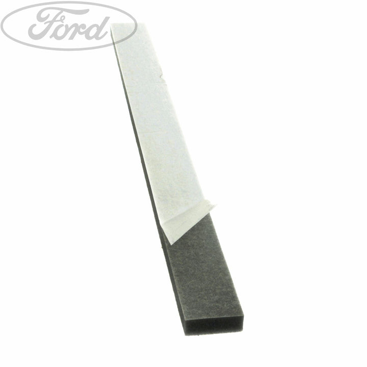 RADIATOR ENERGY ABSORBING FOAM PAD