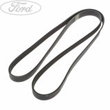 TRANSIT DRIVE V BELT