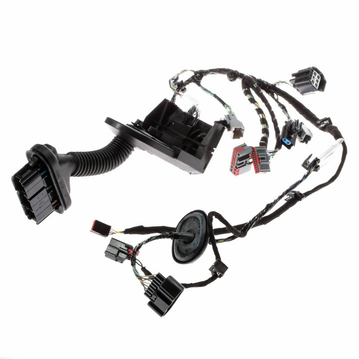 FRONT N/S PASSENGER DOOR BODY CLOSURE WIRING