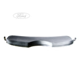 FOCUS TAILGATE TRIM