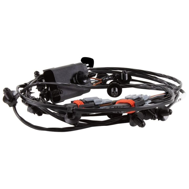 FOCUS FRONT FOG LAMP WIRING LOOM