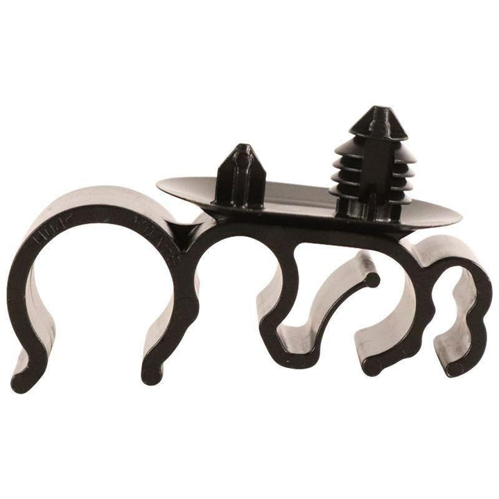 CLIP