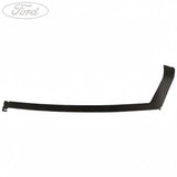 DOOR TRIM PANEL APPLIQUE