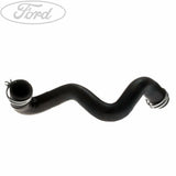 RADIATOR HOSE