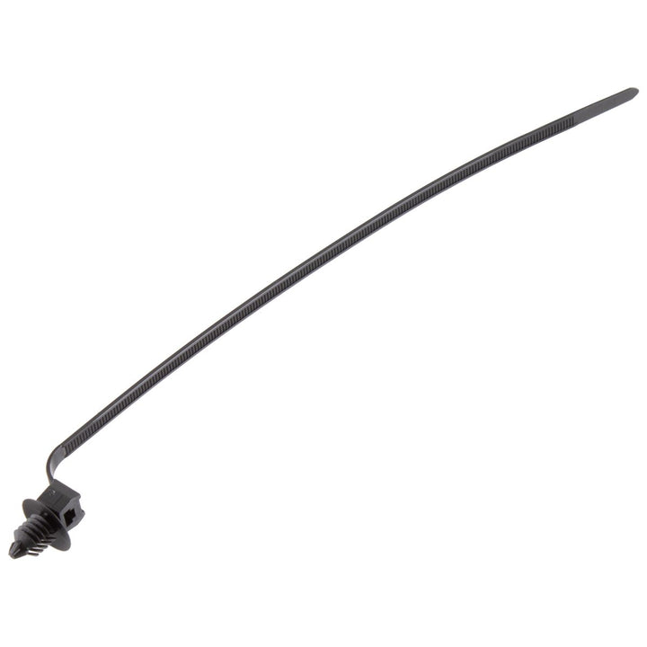 CLIP