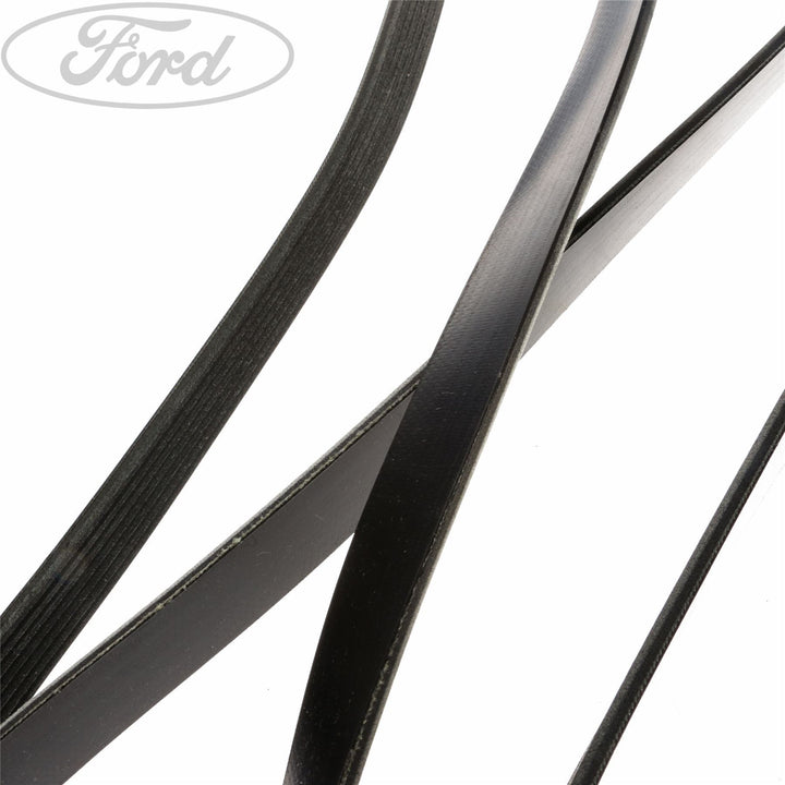 TRANSIT MOTORCRAFT DRIVE V BELT