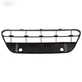 TRANSIT CONNECT FRONT BUMPER LOWER GRILLE TORQUE GREY
