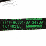 TRANSIT DRIVE BELT