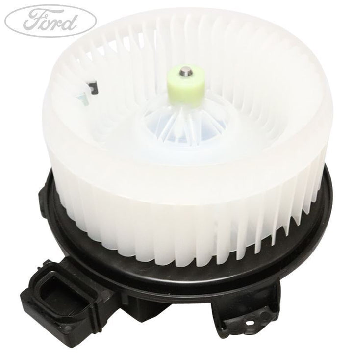 FAN AND MOTOR
