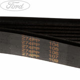 FOCUS MOTORCRAFT DRIVE V BELT