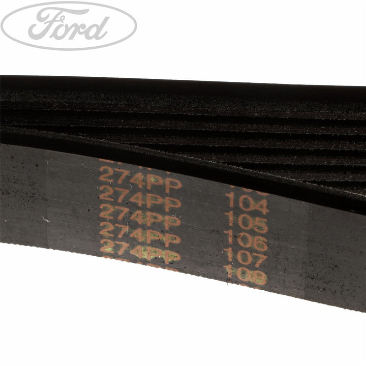 FOCUS MOTORCRAFT DRIVE V BELT