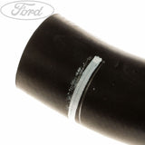 RADIATOR HOSES