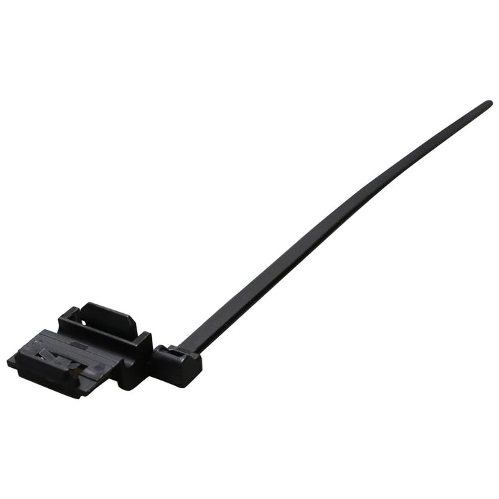 CLIP