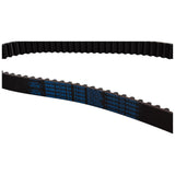 1.25 1.4 1.5 1.6 Zetec Duratec Timing Cam Belt 1995-2019