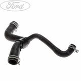 RADIATOR HOSE