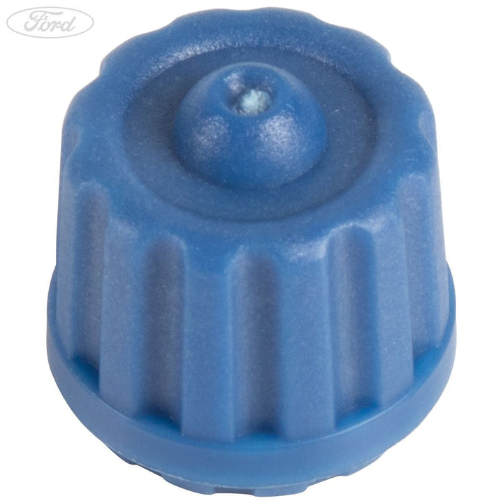 FUEL INJECTION SYSTEM/INLET MANIFLD CAP PACK OF 5