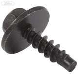 LUGGAGE COMPARTMENT DOOR SCREW PACK OF 5