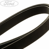 FOCUS FOCUS C-MAX MPV DRIVE V BELT