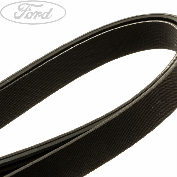 FOCUS FOCUS C-MAX MPV DRIVE V BELT