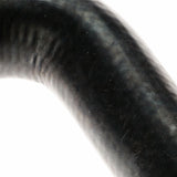 RADIATOR HOSES
