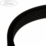 DRIVE BELT