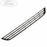 FIESTA FRONT BUMPER LOWER RADIATOR GRILLE 2012-2019
