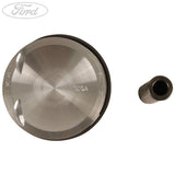 PISTON RING AND PIN