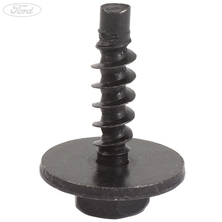 LUGGAGE COMPARTMENT DOOR SCREW PACK OF 5