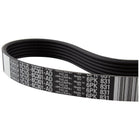 TRANSIT DRIVE BELT KIT