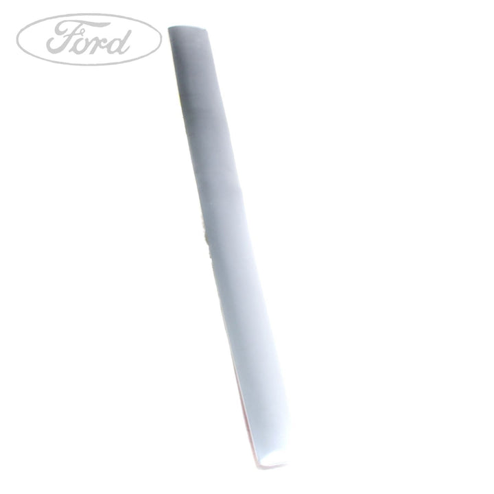 FIESTA N/S DOOR OUTSIDE BODY MOULDING