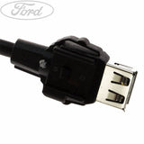 FIESTA DASHBOARD MEDIA GATEWAY MODULE WIRE CABLE