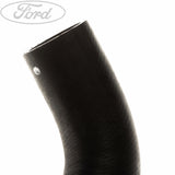 RADIATOR HOSES