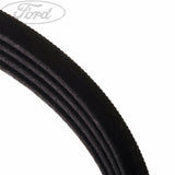 FOCUS DRIVE V BELT
