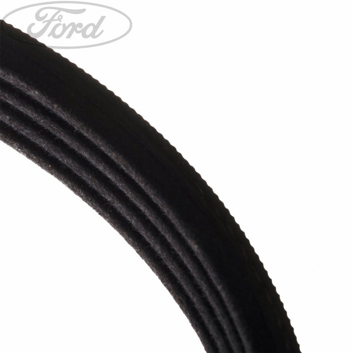 FOCUS DRIVE V BELT