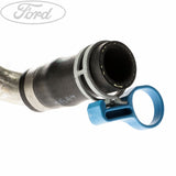 THERMOSTAT HOUSING HOSE