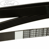 FOCUS FOCUS C-MAX MPV DRIVE V BELT