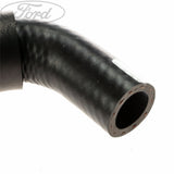RADIATOR HOSES