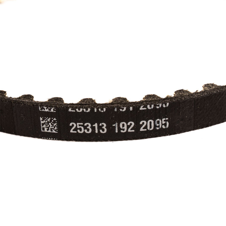 Genuine Ford KA+ 1.2 Dragon 65/85/96bhp Oil Pump Drive Belt 2018-2019 2243778