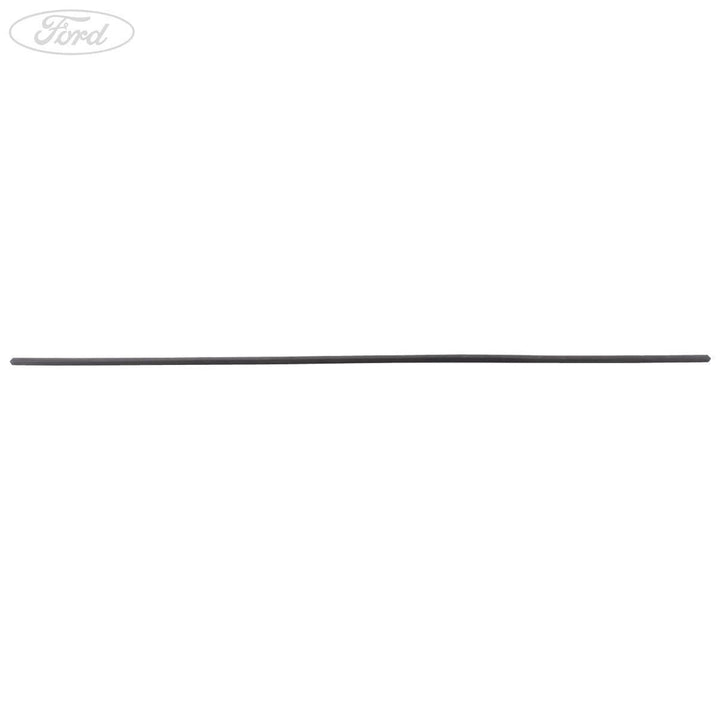 FIESTA N/S ROOF EDGE TRIM MOULDING