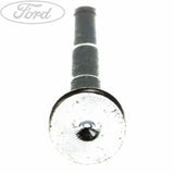 TRANSIT FRONT DOOR HINGE PIN
