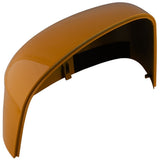 FOCUS FRONT N/S LEFT WING MIRROR HOUSING CAP COVER