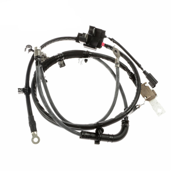 FOCUS BATTERY CABLE - Main Image