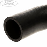 RADIATOR HOSES