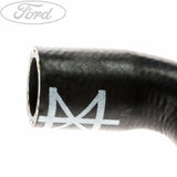 RADIATOR HOSES