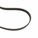 1.5 EcoBoost Alternator Drive V-Belt 2014-2020